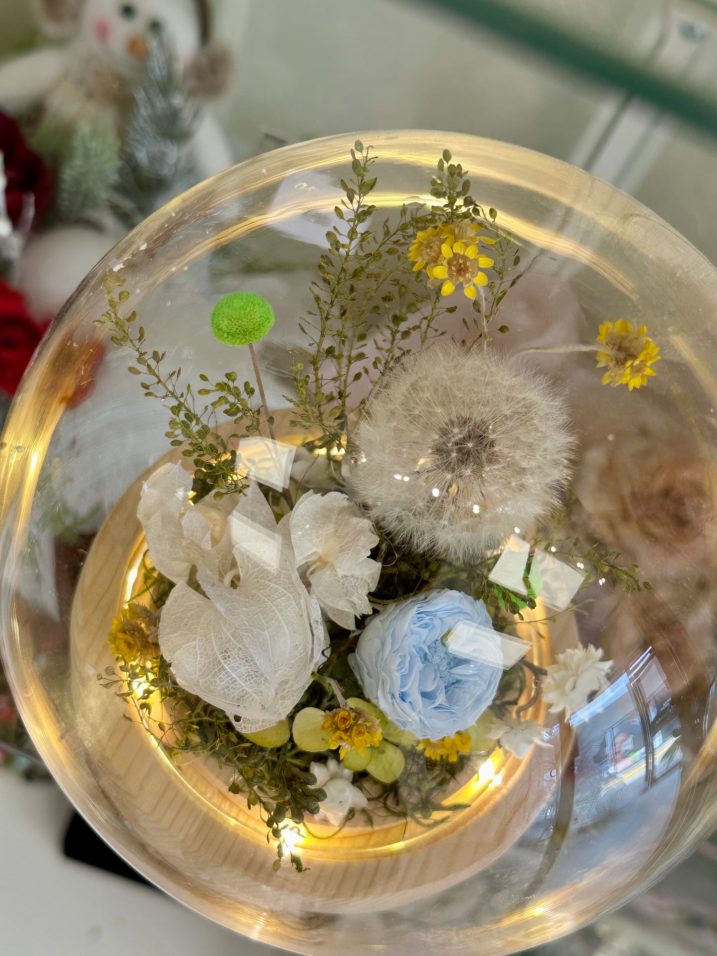Preserved Fairy Dome- Vivid Forest