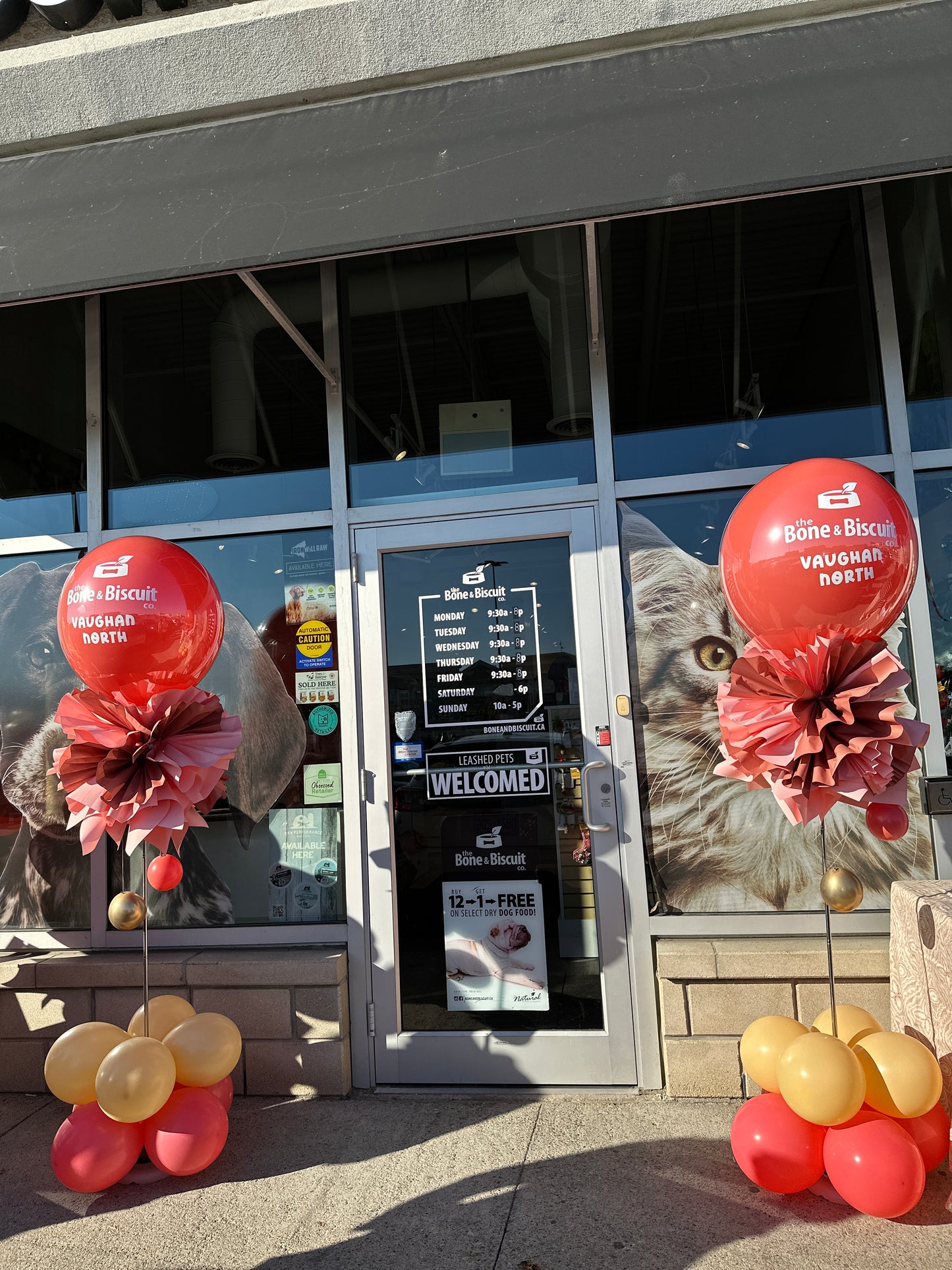 Custom Grand Opening Balloon Stand