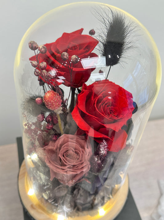 A Eternal Flame — Preserved Rose Dome