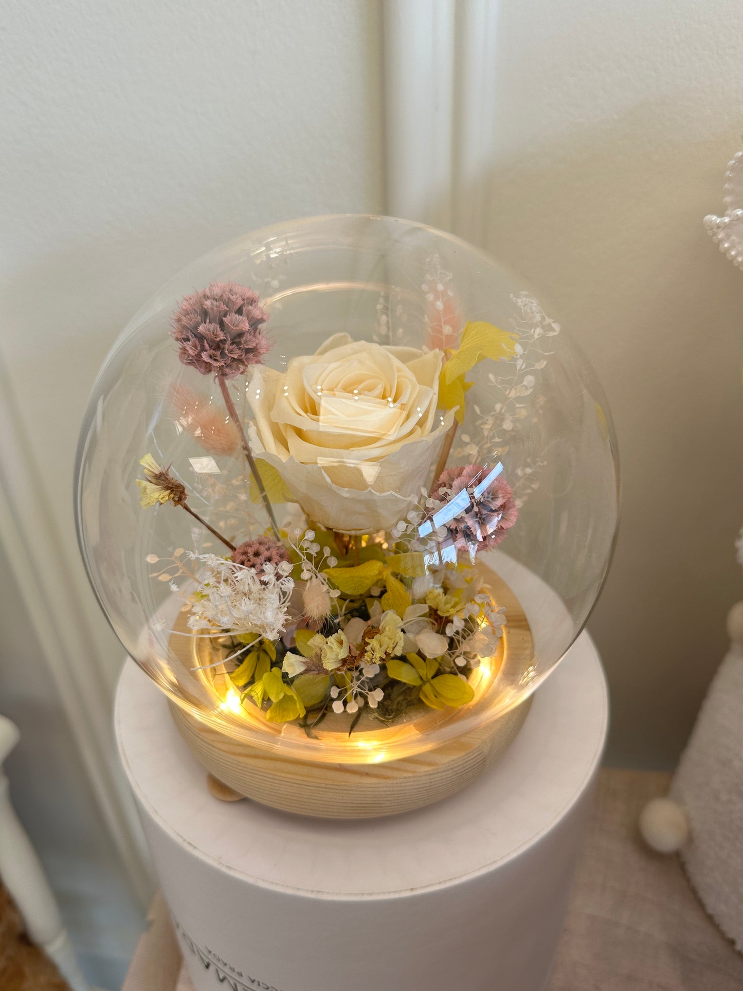 Fairy Dome Preserved - Golden Whisper