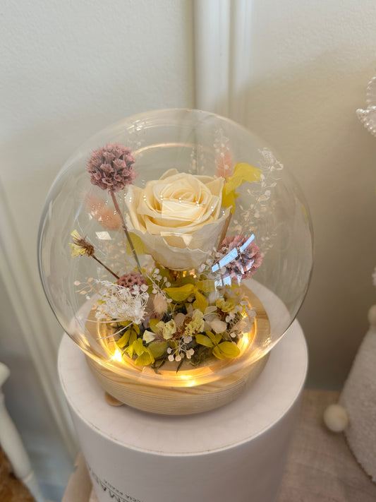 Fairy Dome Preserved - Golden Whisper