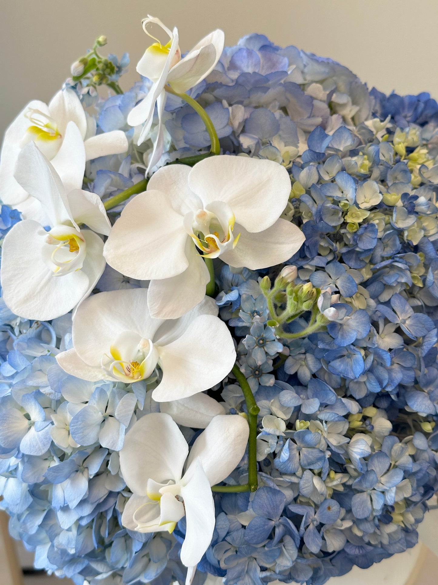 Blue Horizon Orchid & Hydrangea Hat Box