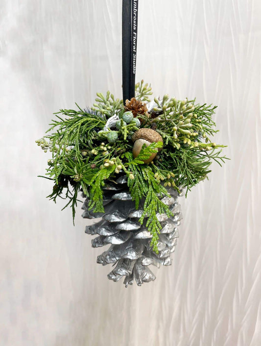 图片_20231116135536