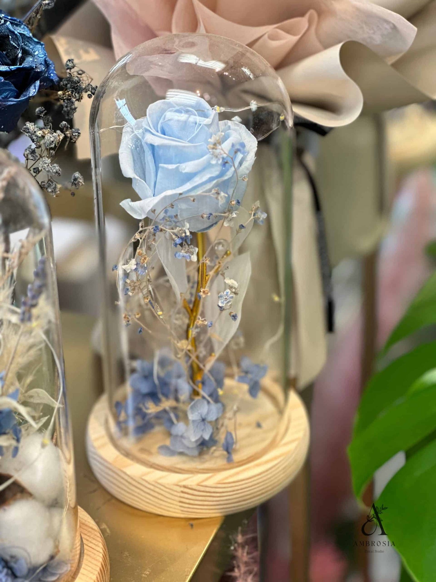 图片_20231124164620