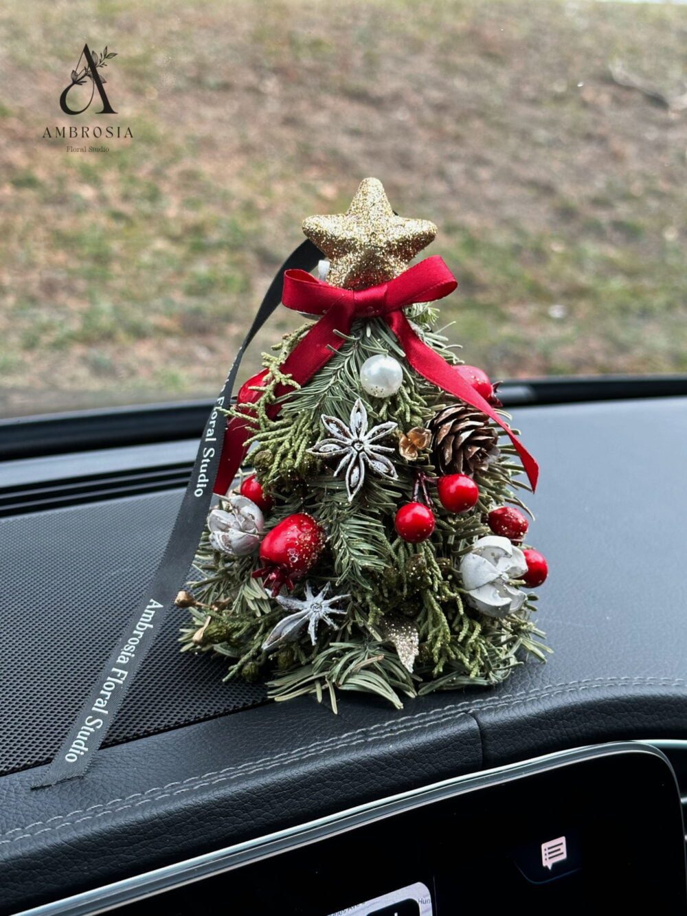 Enchanted Star Holiday Car Hanger/Ornament 1