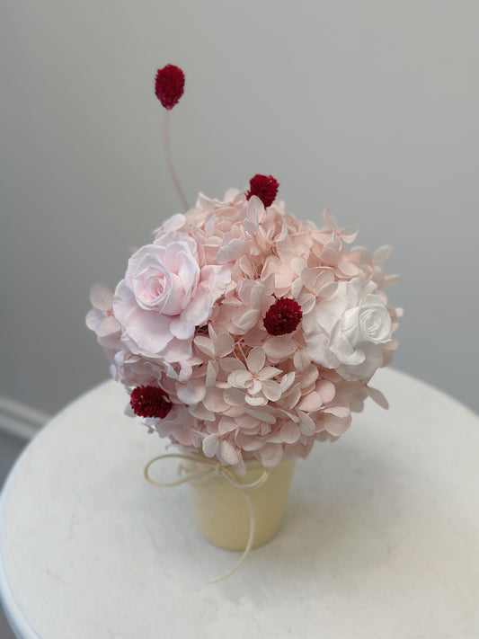 A Rosé Gelato Dream Preserved Flower