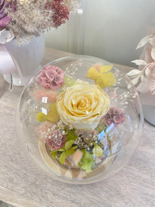 Enchanted Radiance- Yellow