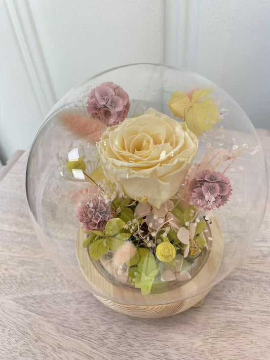 Enchanted Radiance- Yellow
