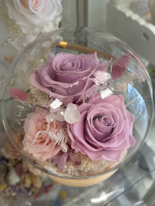 Enchanted Radiance- Purple