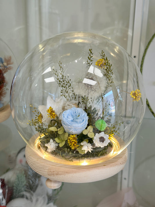 Preserved Fairy Dome- Vivid Forest