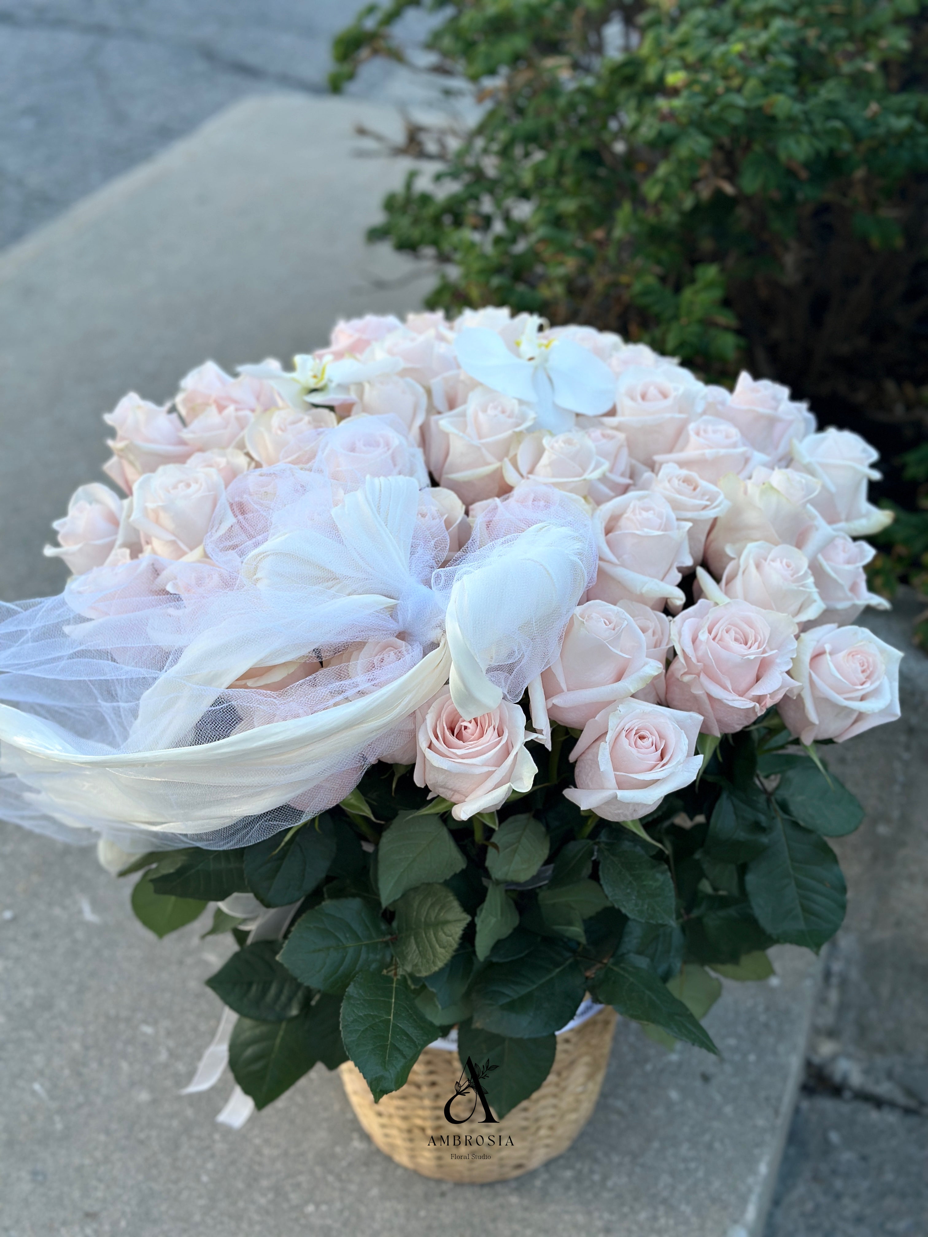 52 Roses 52 Roses in Basket – Ambrosia Floral Studio
