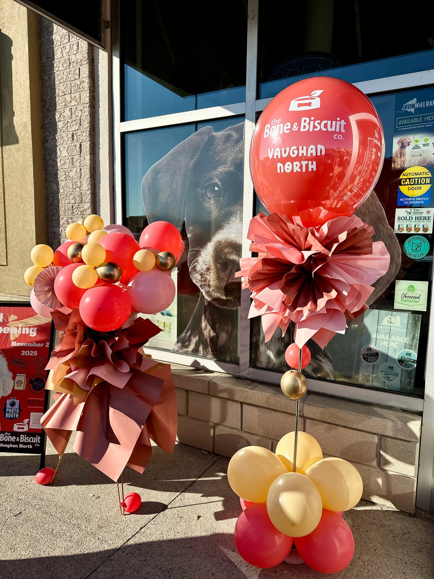 Custom Grand Opening Balloon Stand