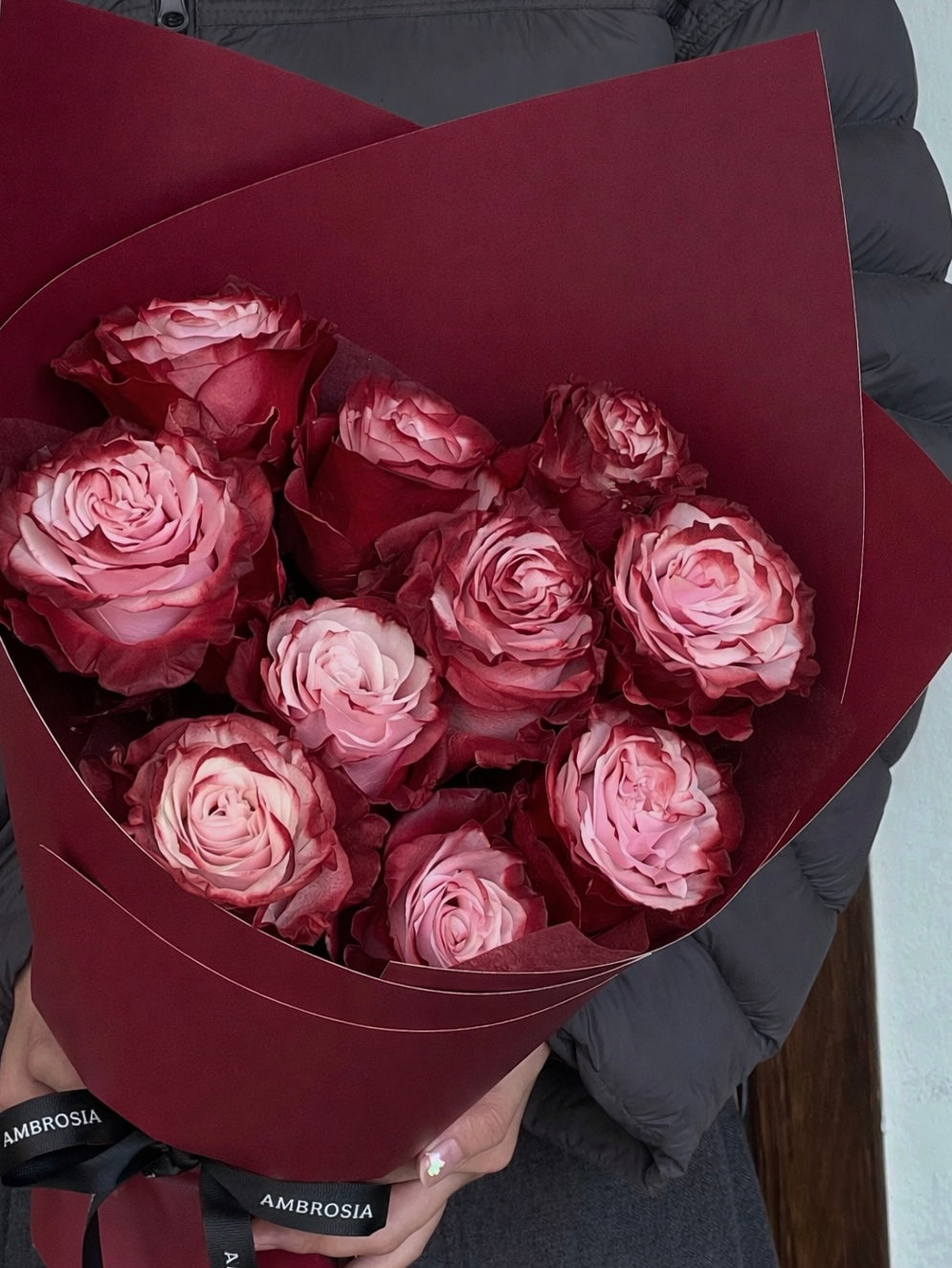 2026 Apple in My Eye