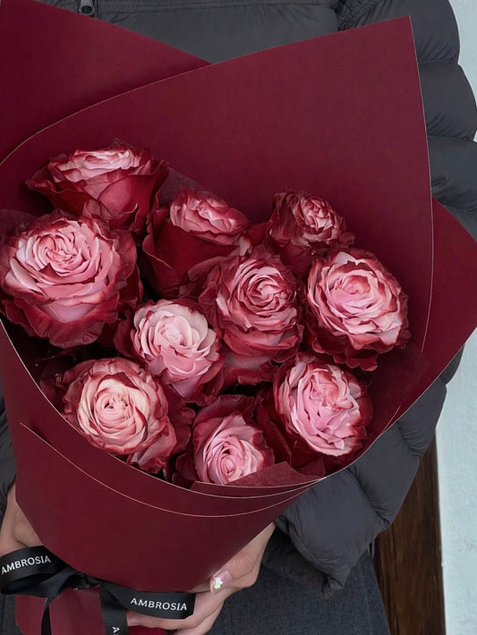 2026 Apple in My Eye