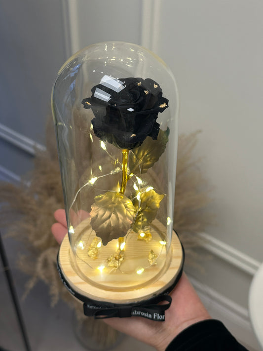 Midnight Noir Preserved Rose