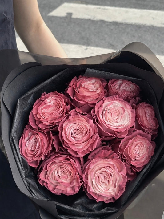 2026 Apple in My Eye