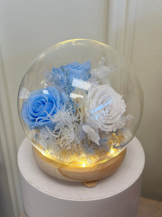 Fairy Dome Preserved - Blue