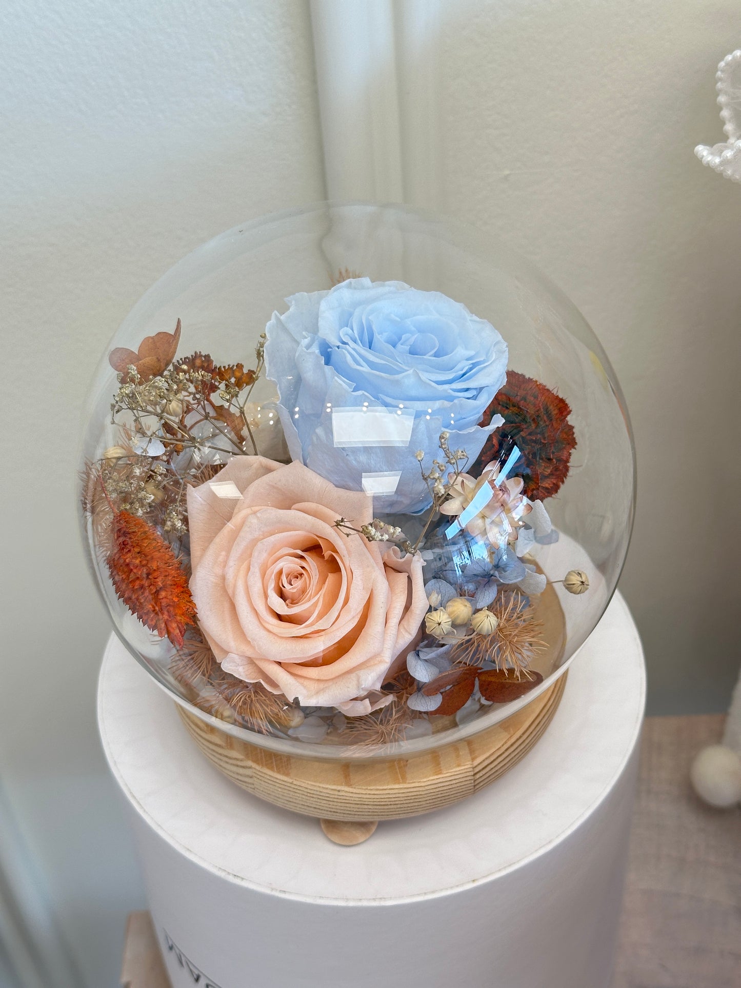 Fairy Dome Preserved - Serenity Bloom