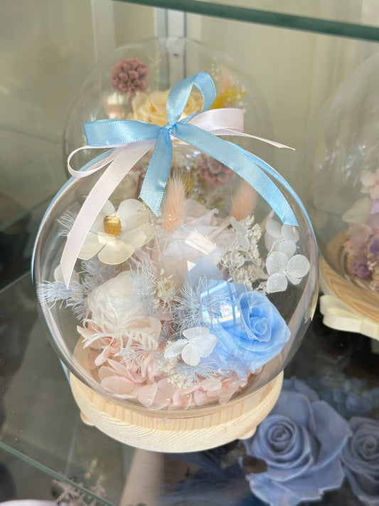 Fairy Dome Preserved - Cotton Candy Pink and Blue