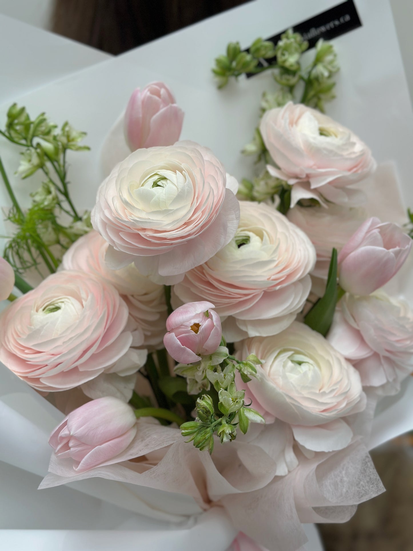 A Blush Ranunculus Garden – Luxury Dutch Ranunculus Bouquet