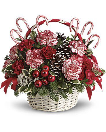 CandyCaneChristmas