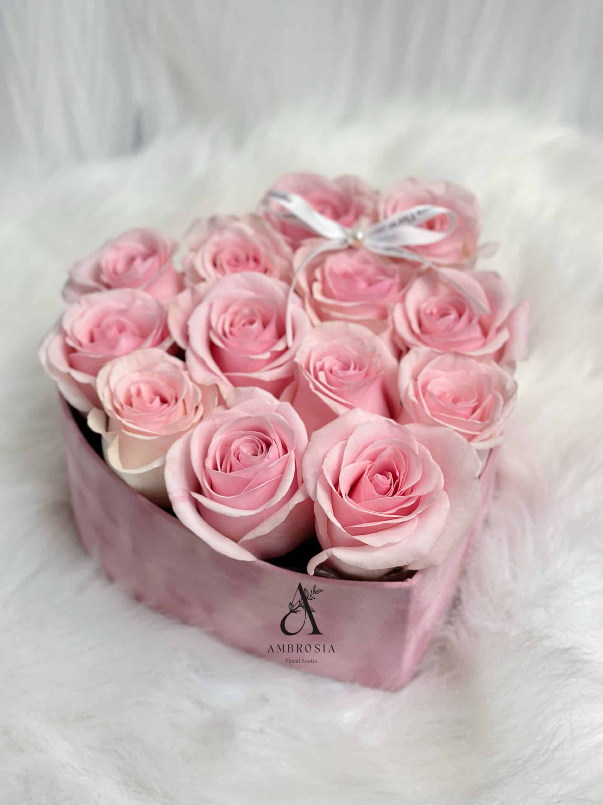 图片_20240201164640