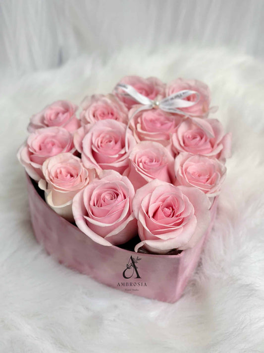 图片_20240201164640