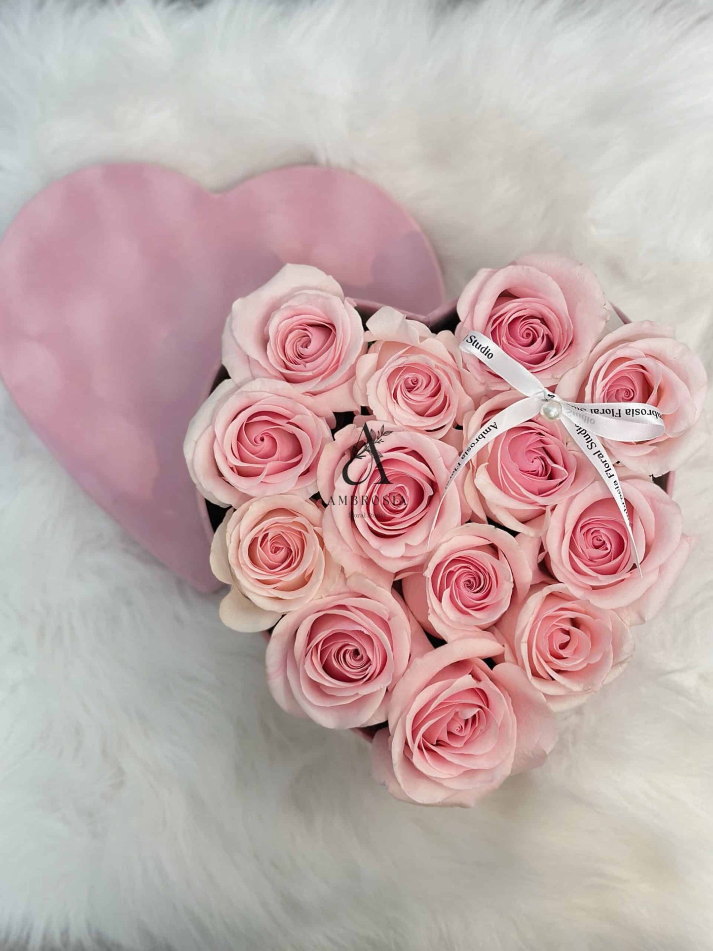 图片_20240201164654