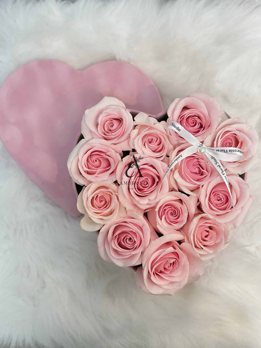 图片_20240201164654