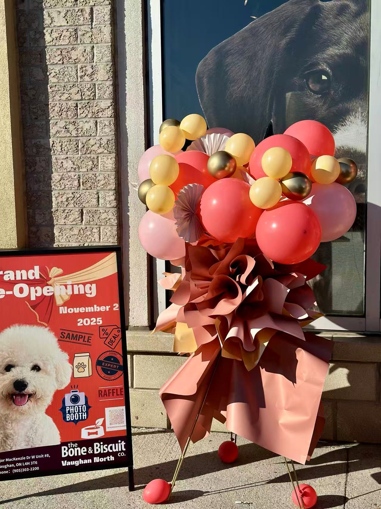 Grand Opening Stand - Balloons