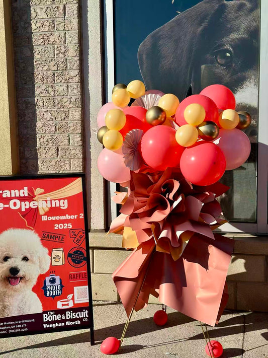 Grand Opening Stand - Balloons