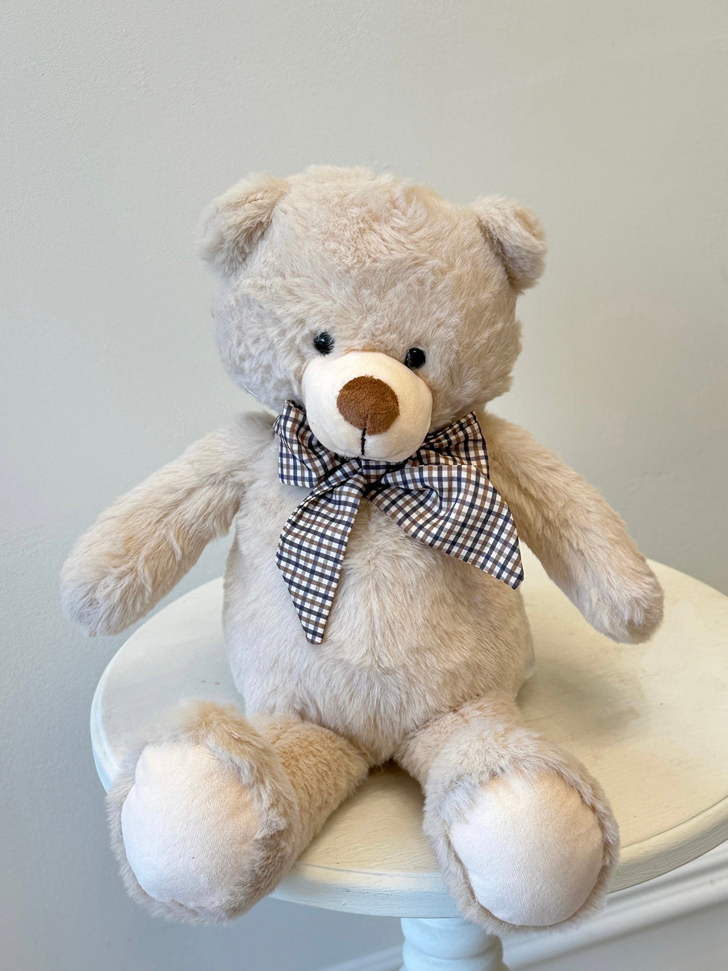 Stuffed Teddy Bear